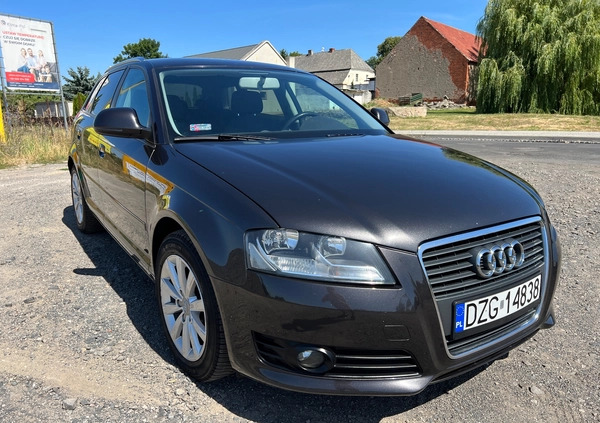 Audi A3 cena 21999 przebieg: 316050, rok produkcji 2008 z Wrocław małe 121